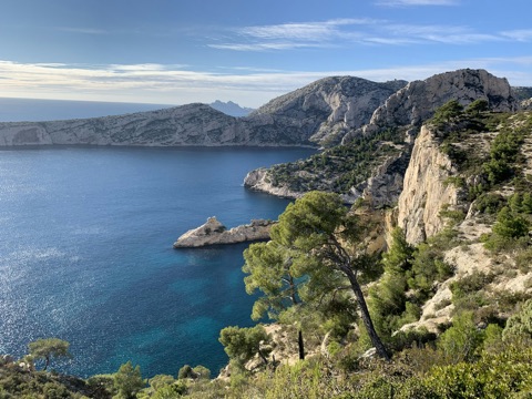 Calanque baignée de lumière dorée, pins accrochés à la roche